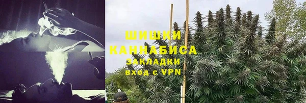 хмурый Белокуриха